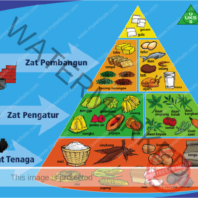 Zat Gizi Makanan yang Berfungsi Sebagai Sumber Zat Tenaga adalah