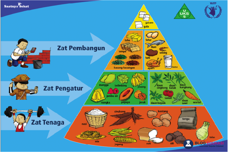 Zat Gizi Makanan yang Berfungsi Sebagai Sumber Zat Tenaga adalah
