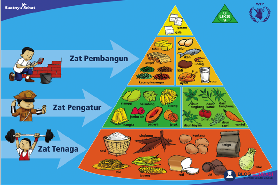Pelajari tentang zat gizi makanan yang berfungsi sebagai zat tenaga adalah, serta zat gizi makanan yang berfungsi sebagai sumber zat tenaga adalah untuk kesehatan tubuh.
