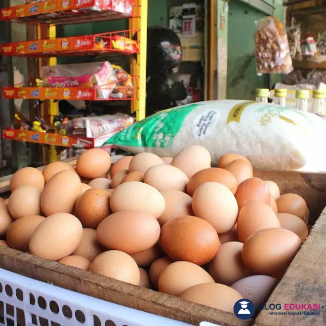 Apa Itu Gizi? Panduan Lengkap & Manfaat Gizi Seimbang