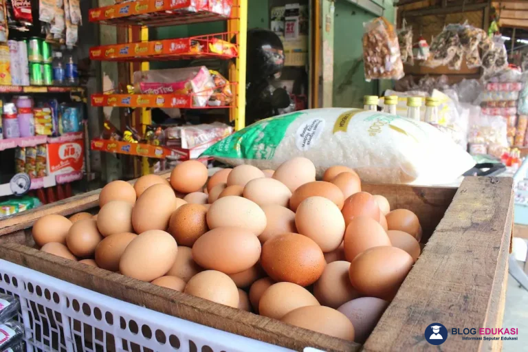 Apa Itu Gizi? Panduan Lengkap & Manfaat Gizi Seimbang