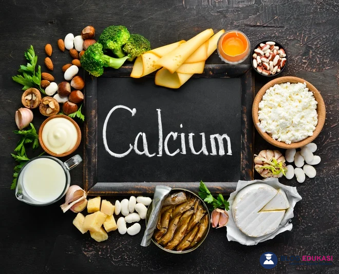 Zat Gizi yang Dibutuhkan Tulang untuk Tetap Kuat